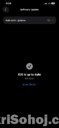Iphone 12 pro max 256 gb